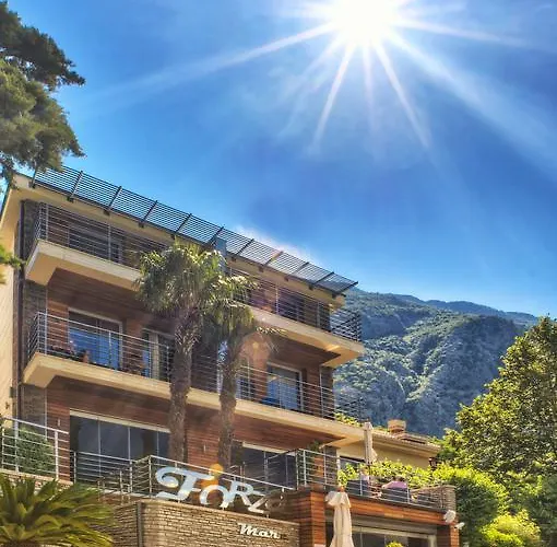 Hotel Forza Mare
